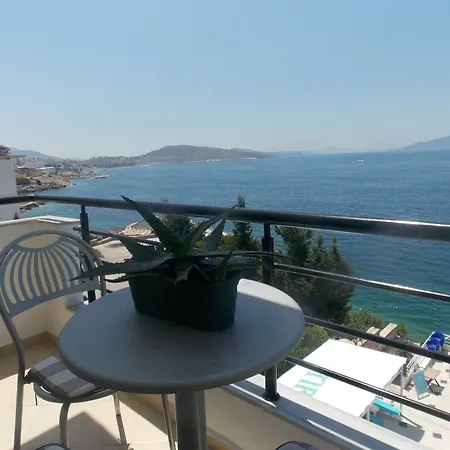 Berti Sarandë